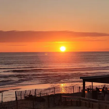 Alabama 비스카로세