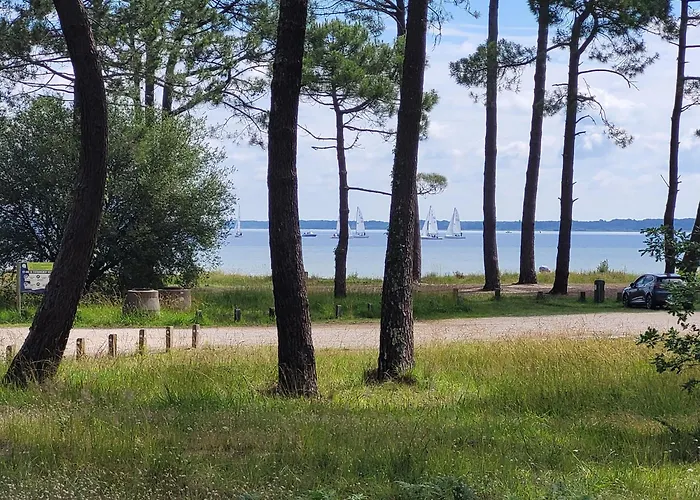 Alabama Бискаррос